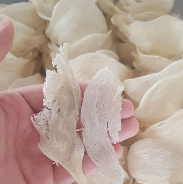 Strips Bird Nest