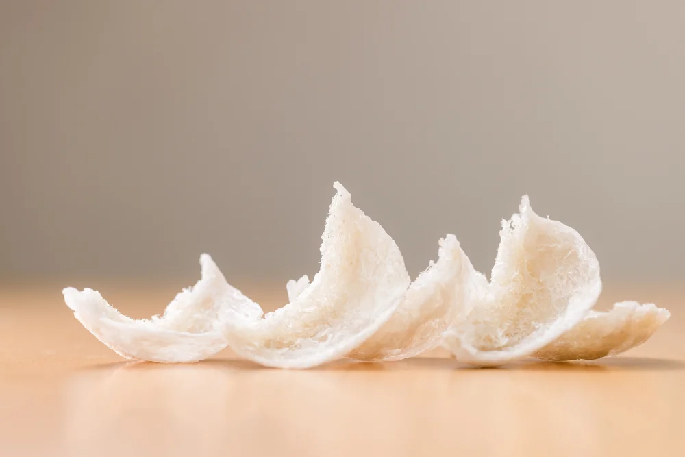 Dried Bird Nest